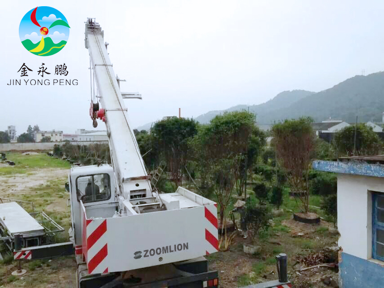 树葡萄发货咯！前往重庆基地！