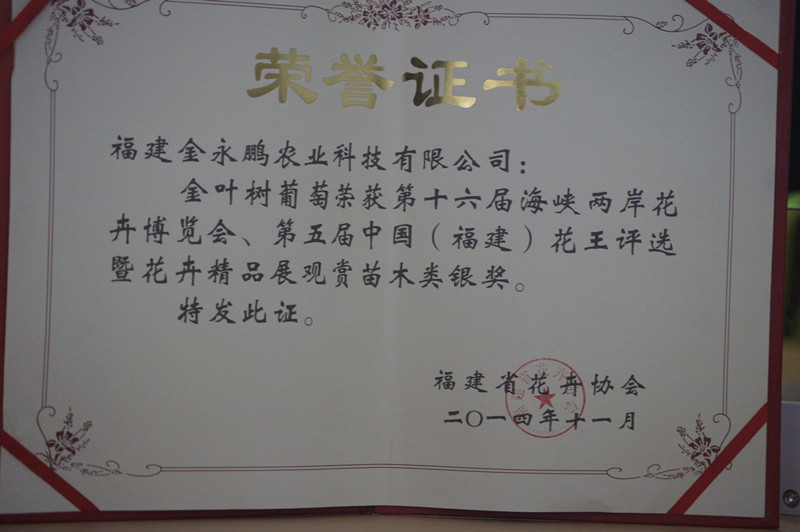 祝贺福建金永鹏农业科技有限公司金边嘉宝果（树葡萄）荣获银奖