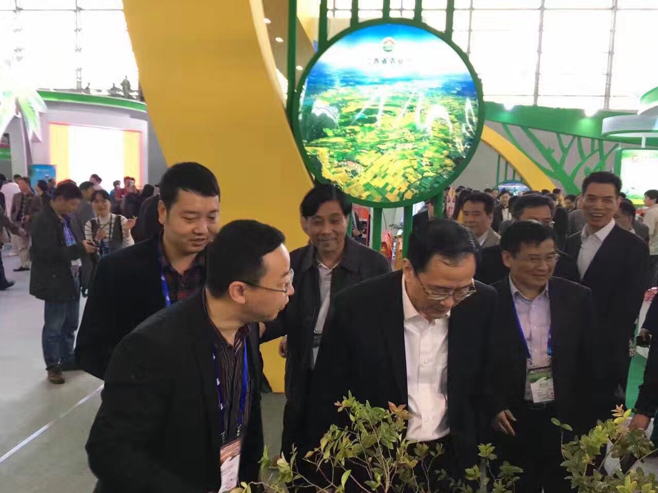 福建副省长黄淇玉、漳州市领导考察昆明农交会金永鹏树葡萄系列产品