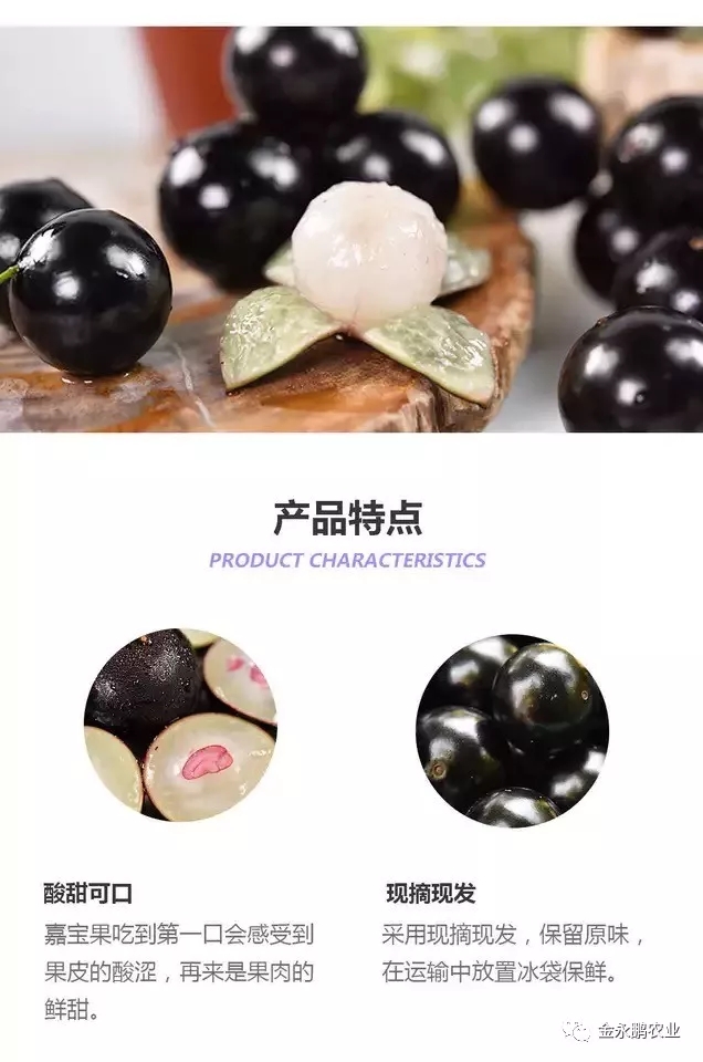 三月环保月·做一个【可持续新农业】，你的美好也是未来